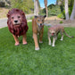 Lioness - Custom Prop Rentals
