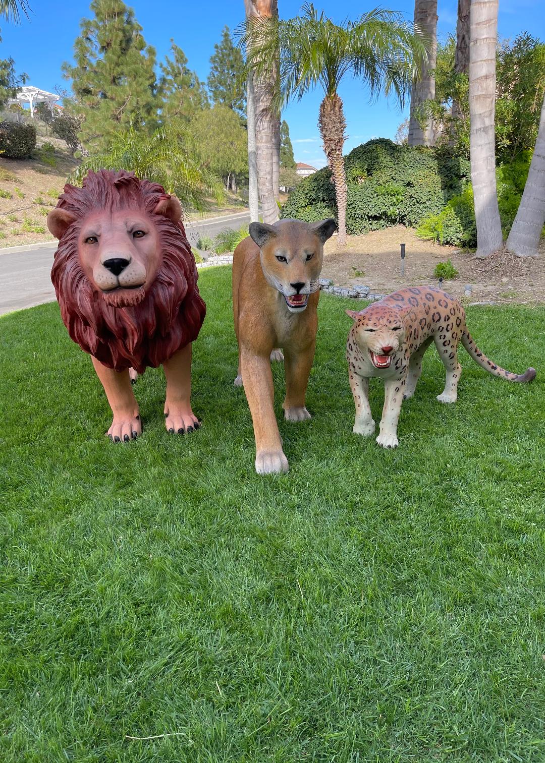 Lioness - Custom Prop Rentals