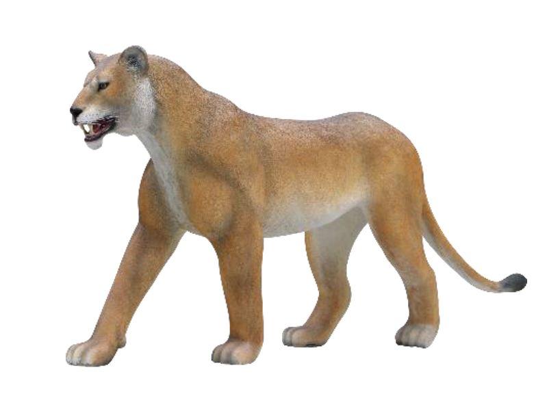 Lioness - Custom Prop Rentals