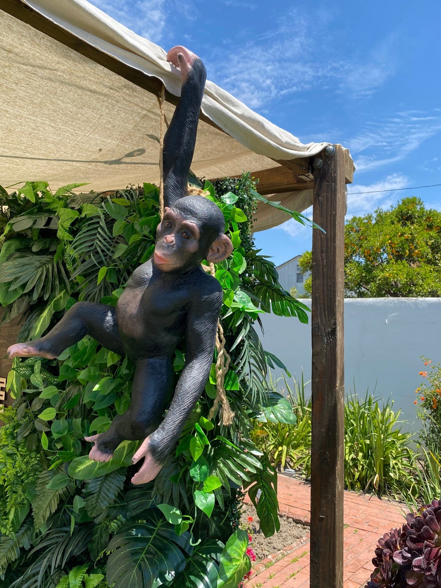 Monkey Chimpanzee Hanging - Custom Prop Rentals