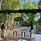 Monkey Chimpanzee Hanging - Custom Prop Rentals