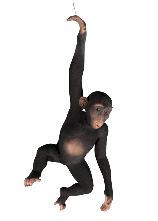 Monkey Chimpanzee Hanging - Custom Prop Rentals