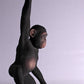 Monkey Chimpanzee Hanging - Custom Prop Rentals