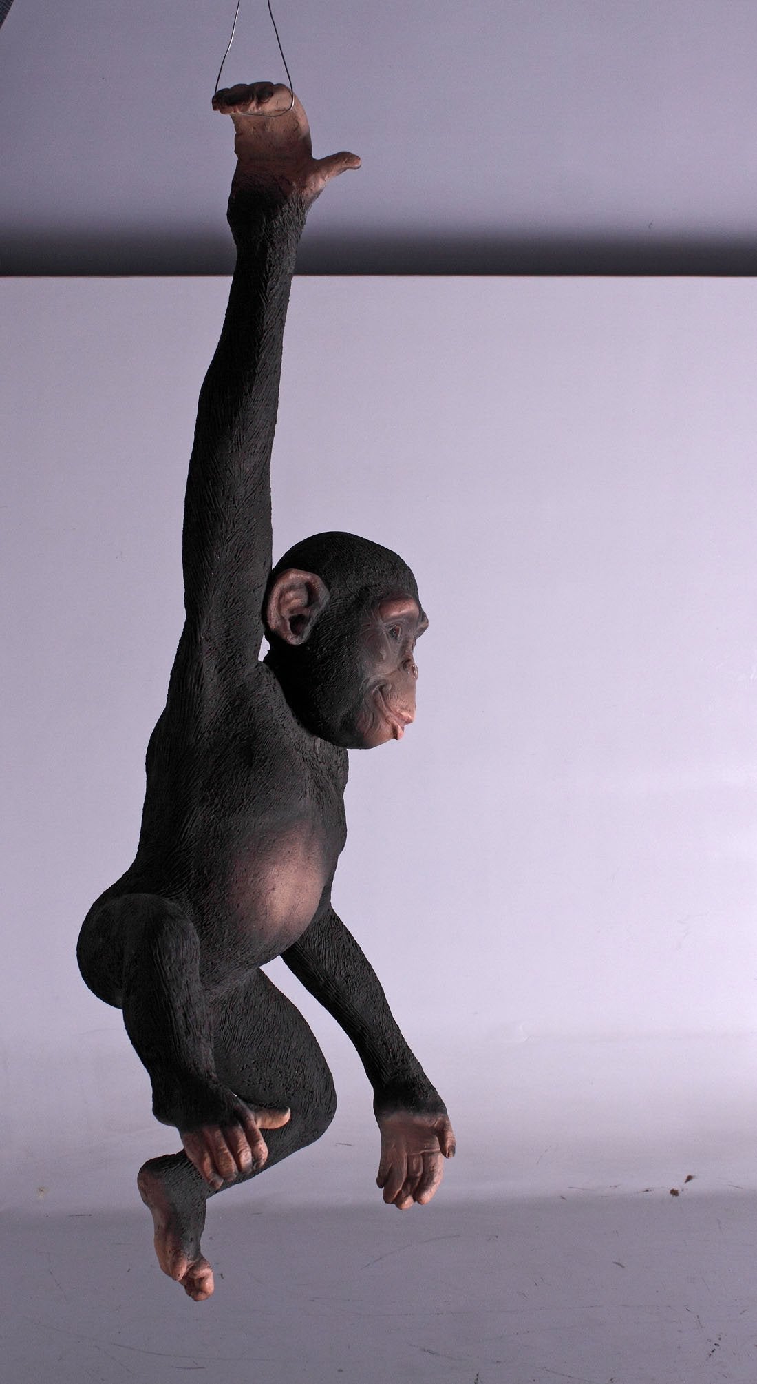 Monkey Chimpanzee Hanging - Custom Prop Rentals
