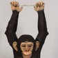 Monkey Chimpanzee Hanging On Rope - Custom Prop Rentals