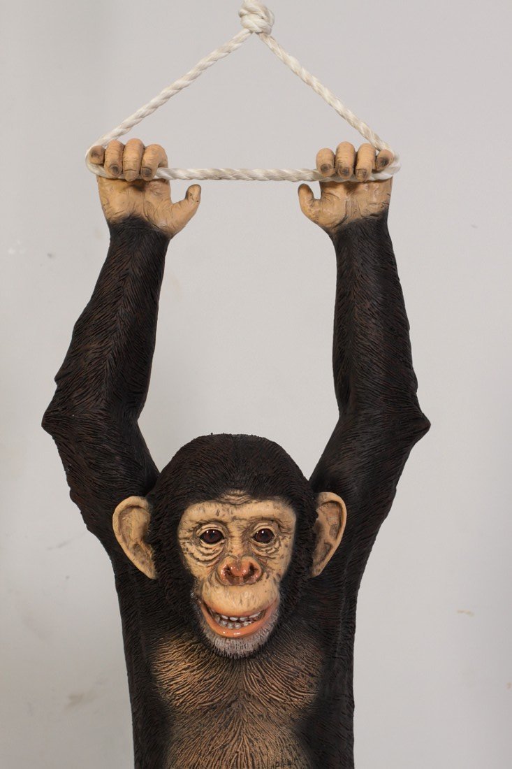 Monkey Chimpanzee Hanging On Rope - Custom Prop Rentals