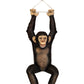 Monkey Chimpanzee Hanging On Rope - Custom Prop Rentals