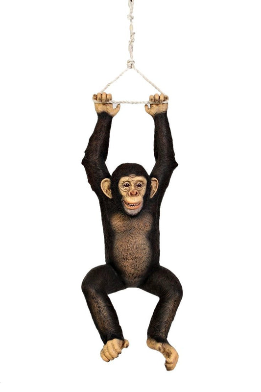 Monkey Chimpanzee Hanging On Rope - Custom Prop Rentals