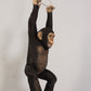 Monkey Chimpanzee Hanging On Rope - Custom Prop Rentals