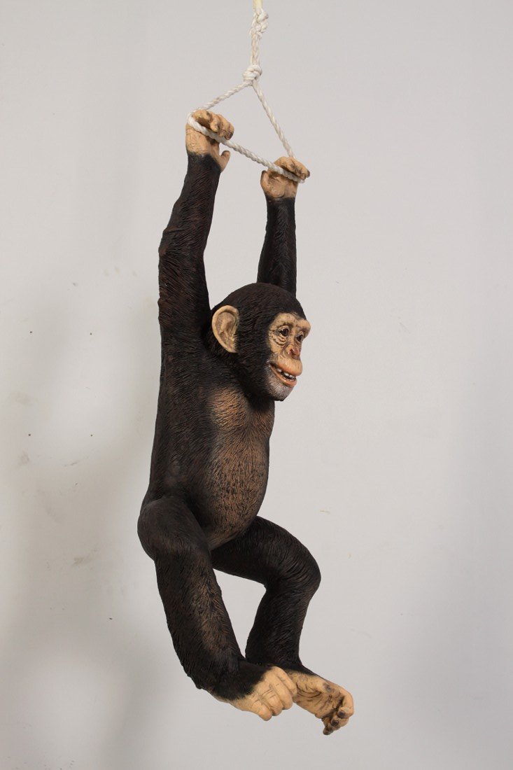 Monkey Chimpanzee Hanging On Rope - Custom Prop Rentals