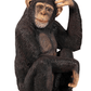 Monkey Chimpanzee Sitting - Custom Prop Rentals