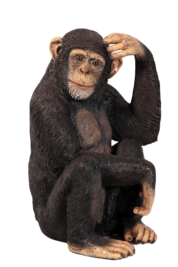 Monkey Chimpanzee Sitting - Custom Prop Rentals