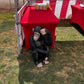 Monkey Chimpanzee Sitting - Custom Prop Rentals