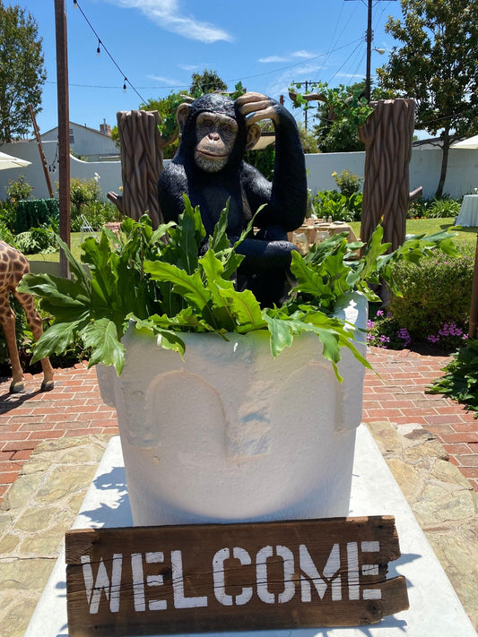 Monkey Chimpanzee Sitting - Custom Prop Rentals
