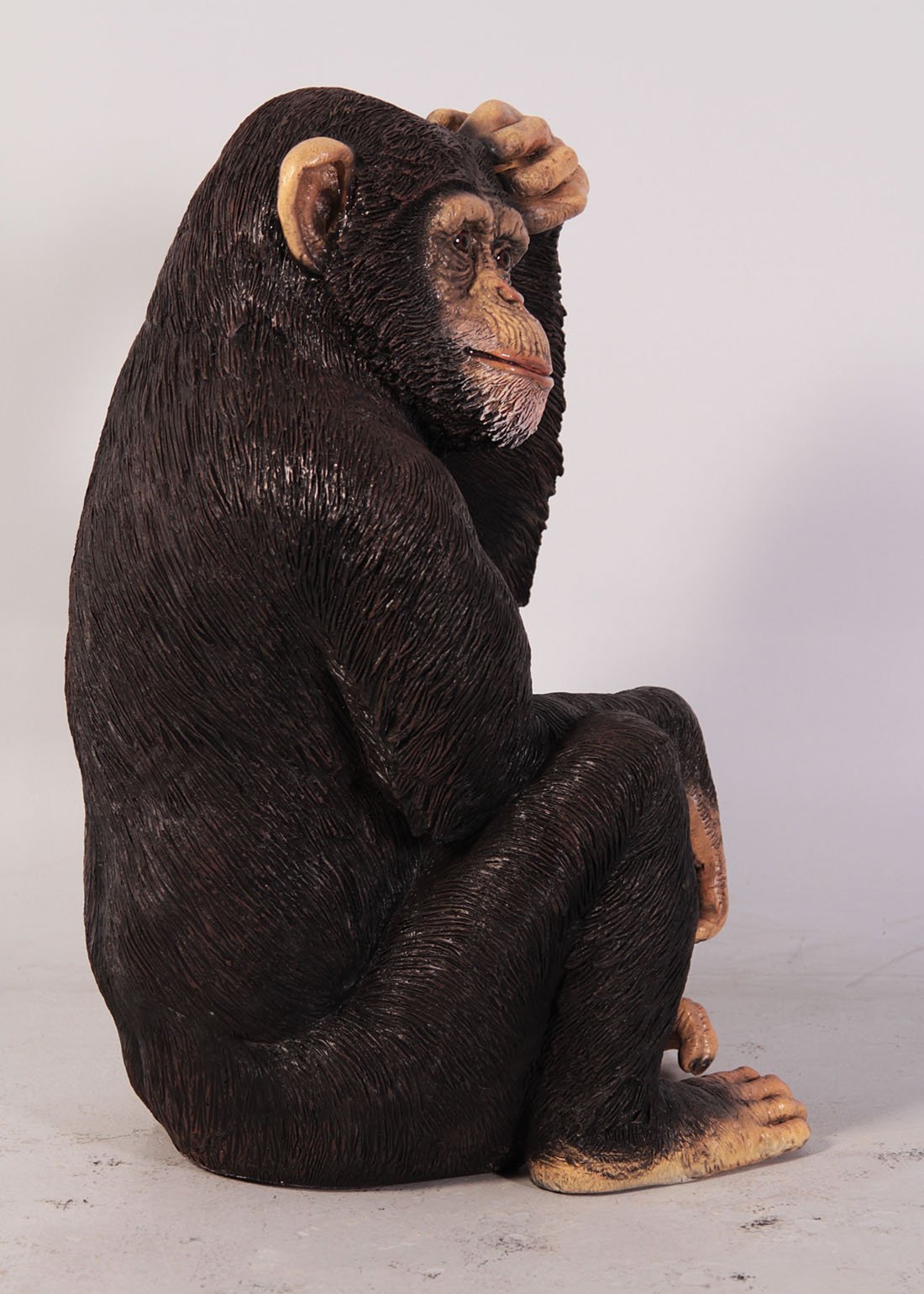 Monkey Chimpanzee Sitting - Custom Prop Rentals