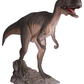 Allosaurus Dinosaur