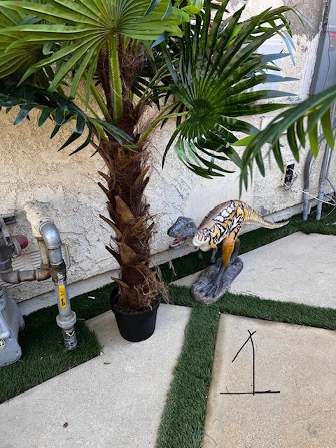 Palm Assorted Trees - Custom Prop Rentals