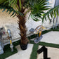 Palm Assorted Trees - Custom Prop Rentals