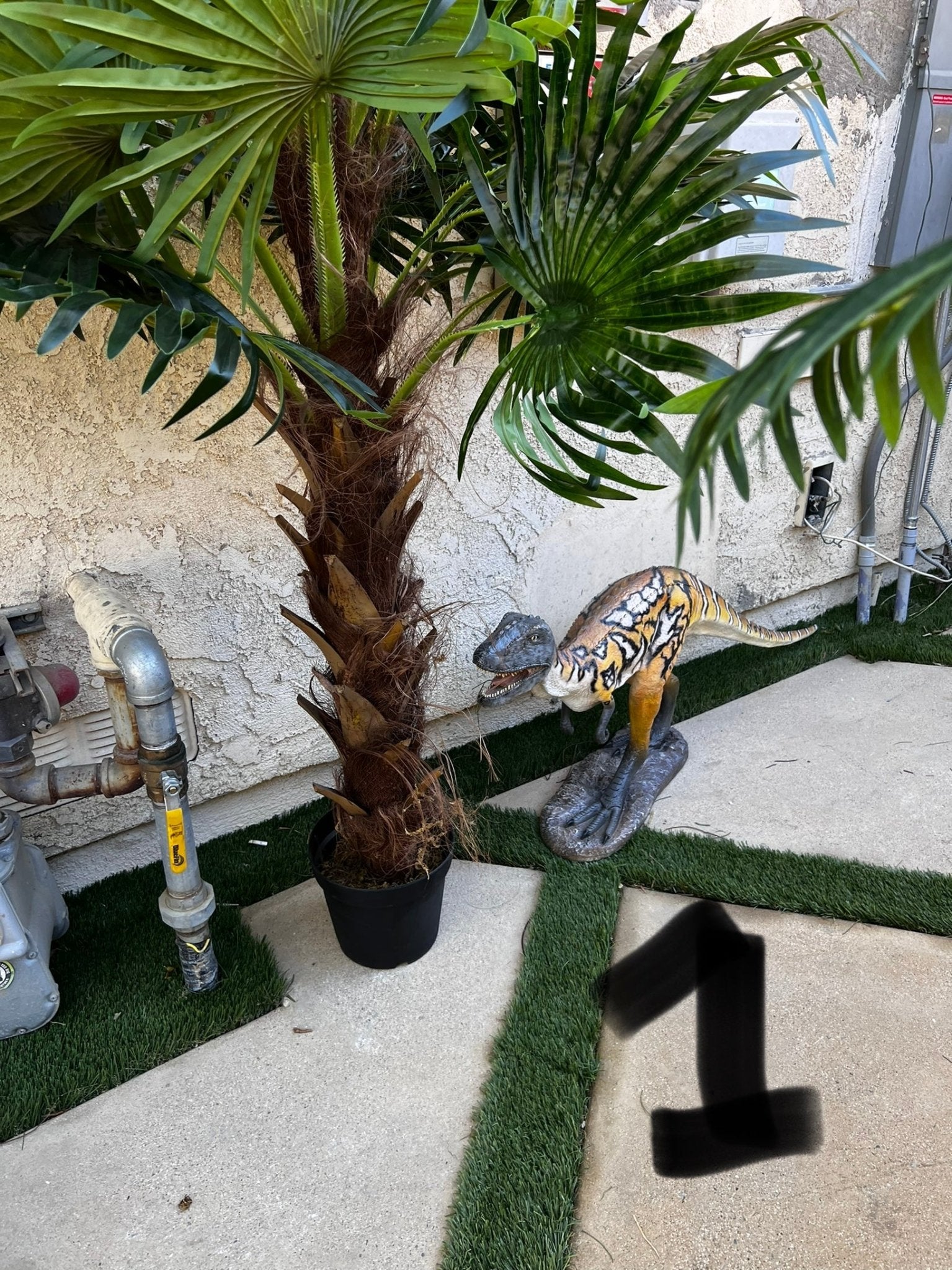 Palm Assorted Trees - Custom Prop Rentals