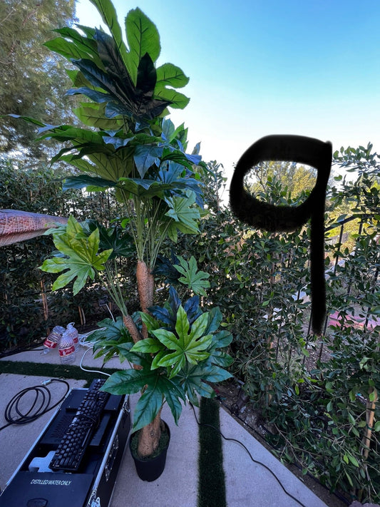 Palm Assorted Trees - Custom Prop Rentals