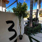 Palm Assorted Trees - Custom Prop Rentals