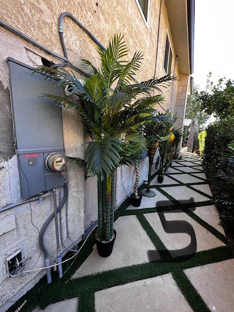 Palm Assorted Trees - Custom Prop Rentals