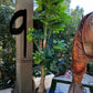 Palm Assorted Trees - Custom Prop Rentals
