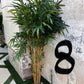 Palm Assorted Trees - Custom Prop Rentals