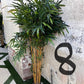 Palm Assorted Trees - Custom Prop Rentals