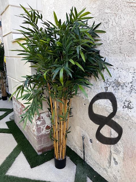 Palm Assorted Trees - Custom Prop Rentals