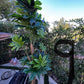 Palm Assorted Trees - Custom Prop Rentals