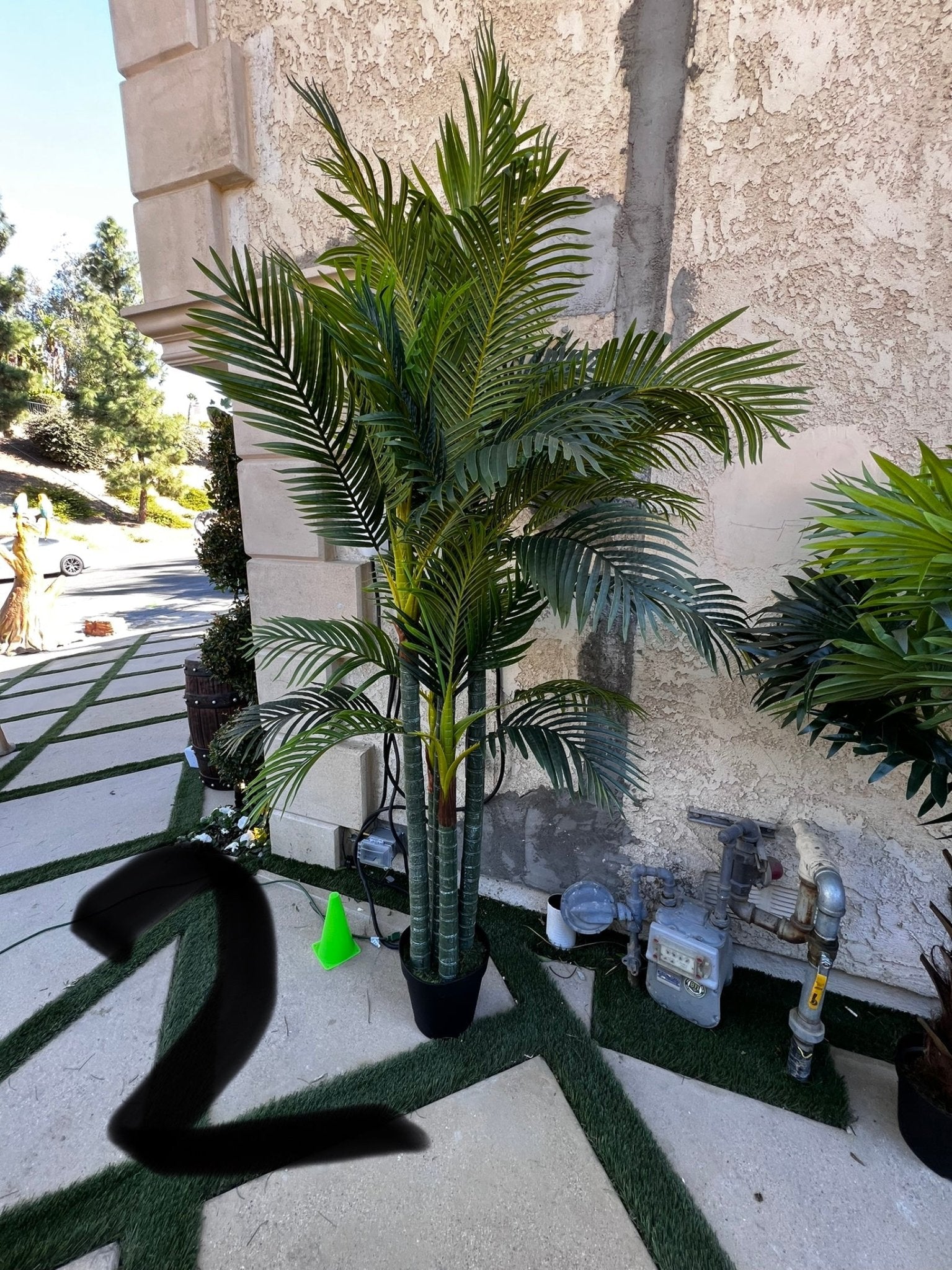 Palm Assorted Trees - Custom Prop Rentals