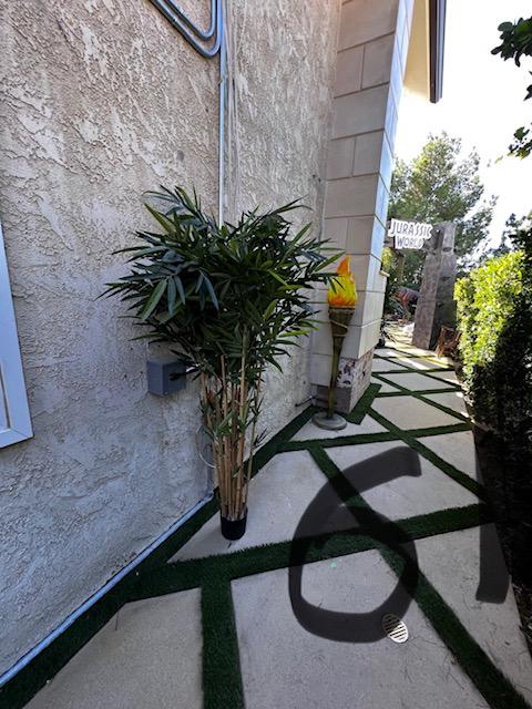 Palm Assorted Trees - Custom Prop Rentals