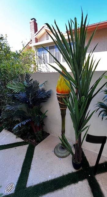 Palm Assorted Trees - Custom Prop Rentals