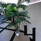 Palm Assorted Trees - Custom Prop Rentals
