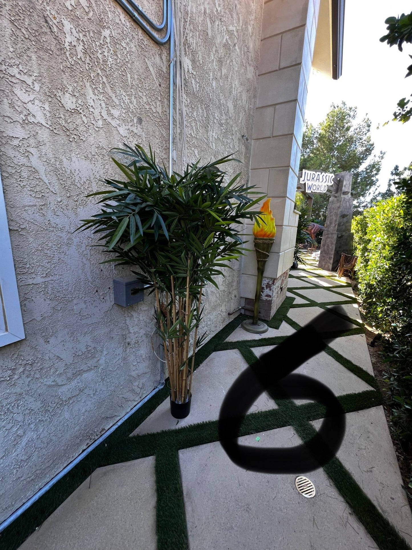 Palm Assorted Trees - Custom Prop Rentals