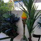 Palm Assorted Trees - Custom Prop Rentals