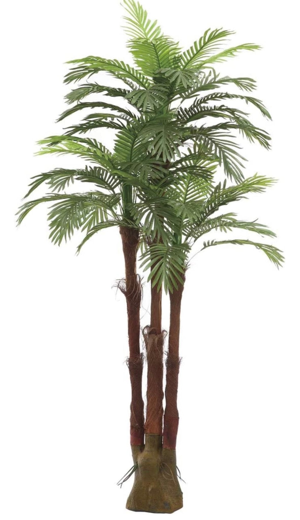 Palm Tropical 6FT - Custom Prop Rentals