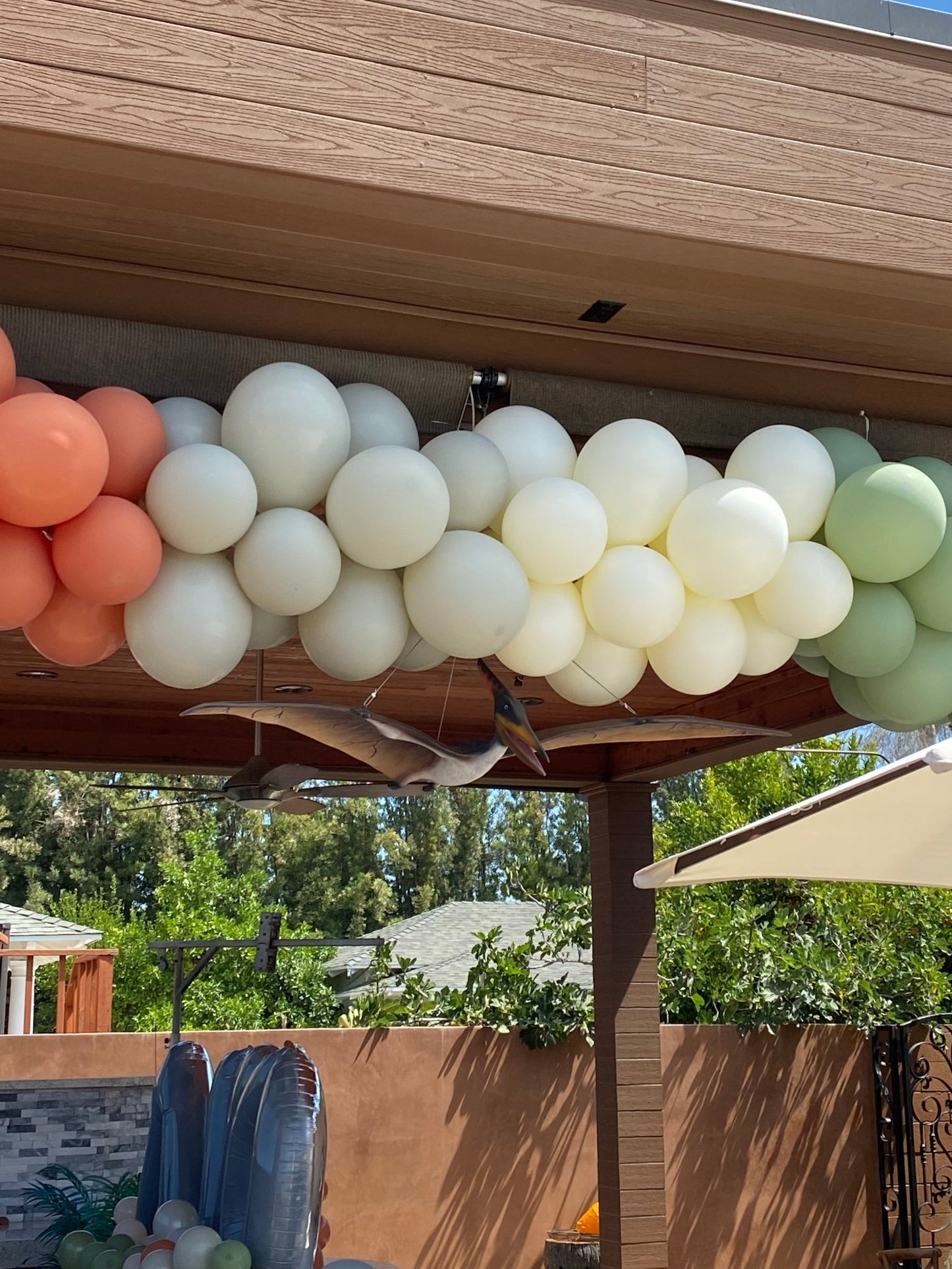 Pteranodon Baby Dinosaur - Custom Prop Rentals