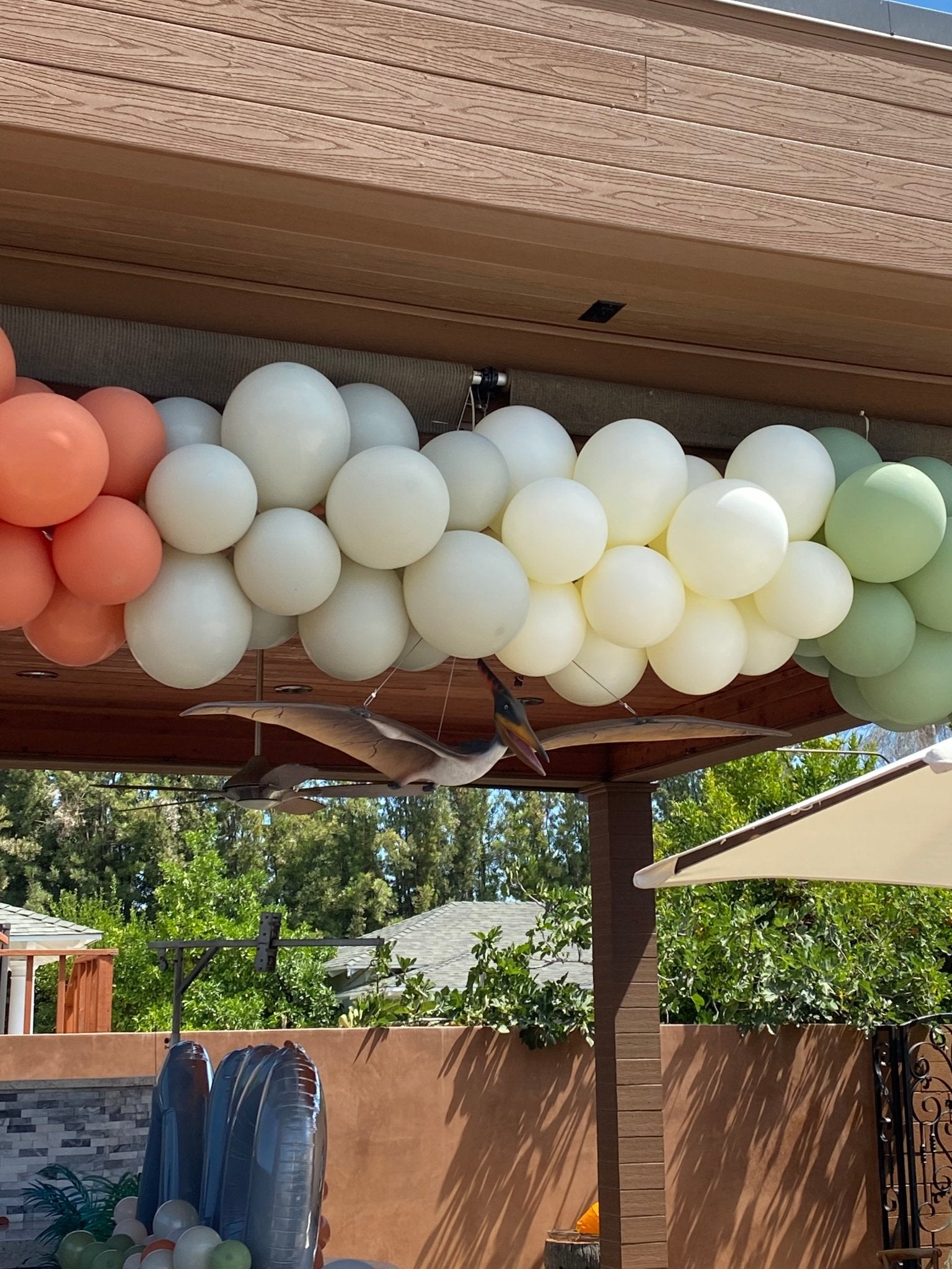Pteranodon Baby Dinosaur - Custom Prop Rentals
