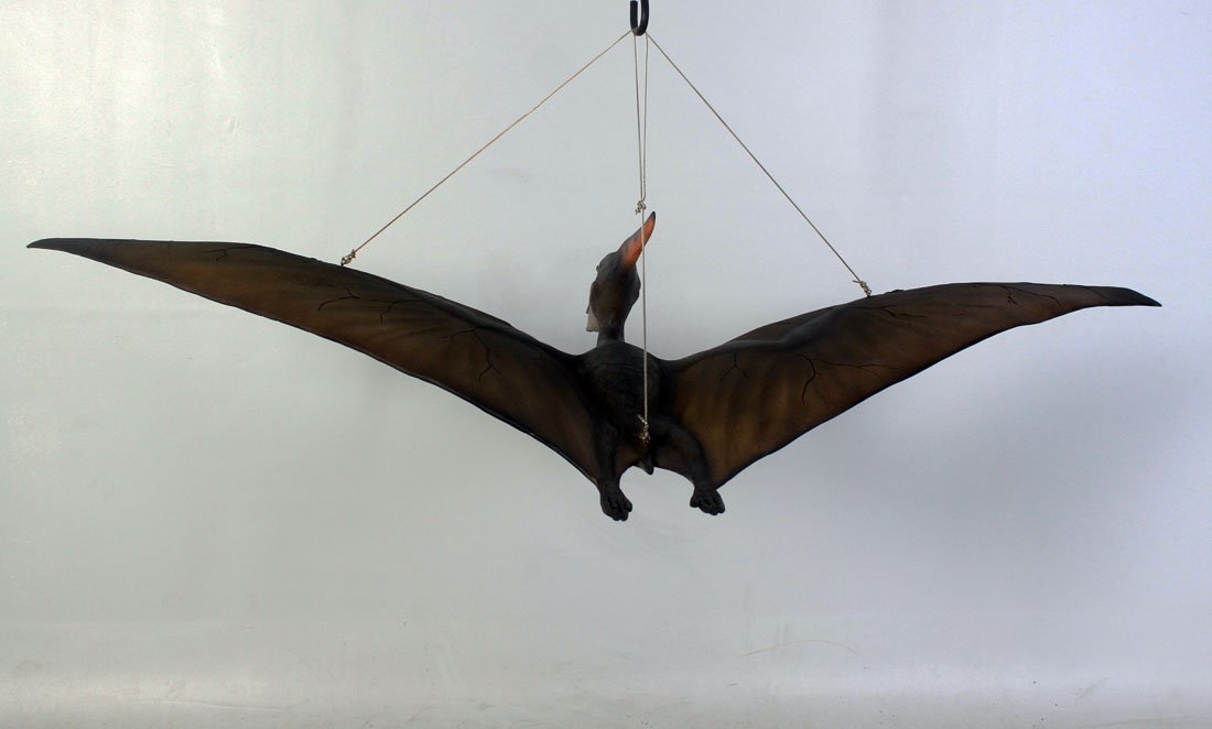 Pteranodon Baby Dinosaur - Custom Prop Rentals