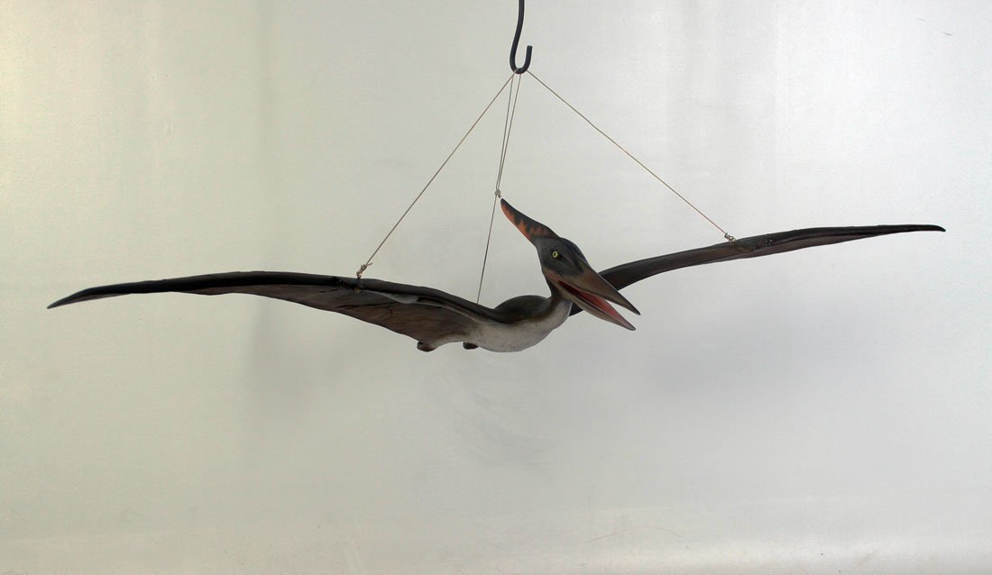 Pteranodon Baby Dinosaur - Custom Prop Rentals