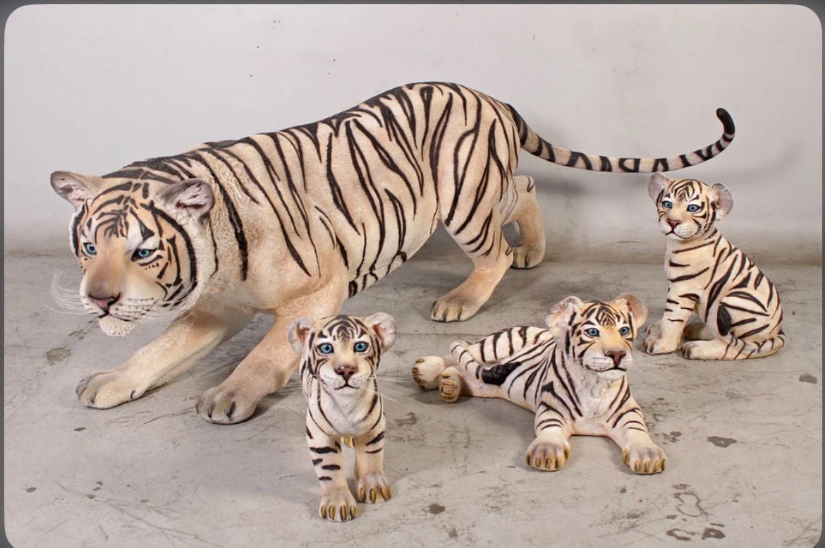 Siberian Cub Laying - Custom Prop Rentals