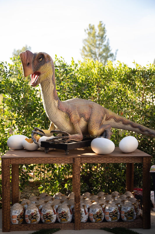 Table with Cage - Custom Prop Rentals