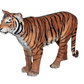 Tiger Sumatran - Custom Prop Rentals