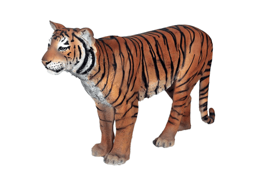 Tiger Sumatran - Custom Prop Rentals