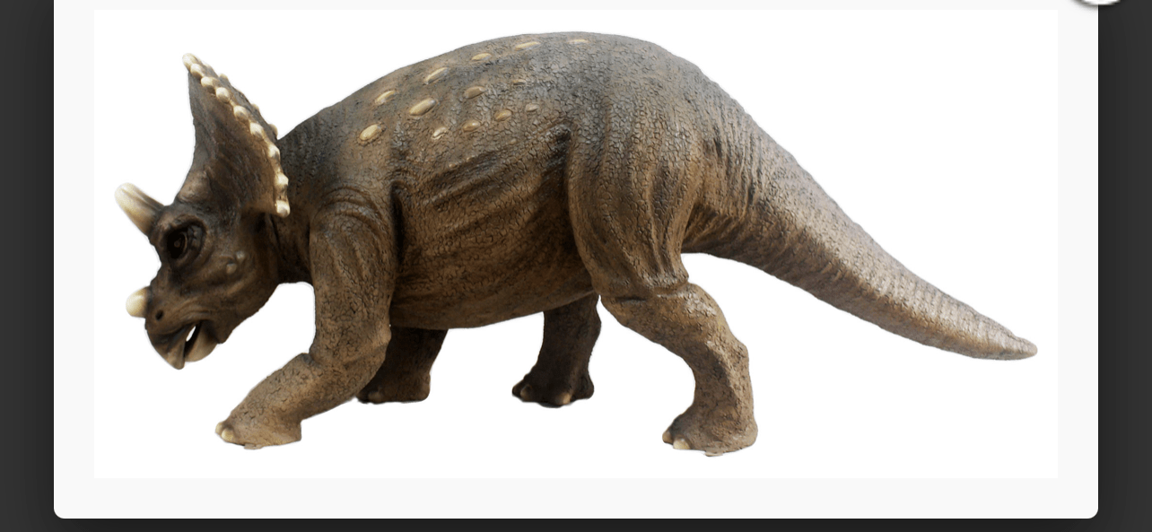 Triceratops Dinosaur - Custom Prop Rentals