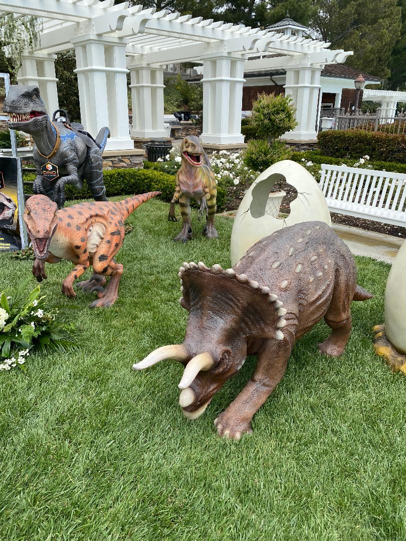 Triceratops Dinosaur - Custom Prop Rentals