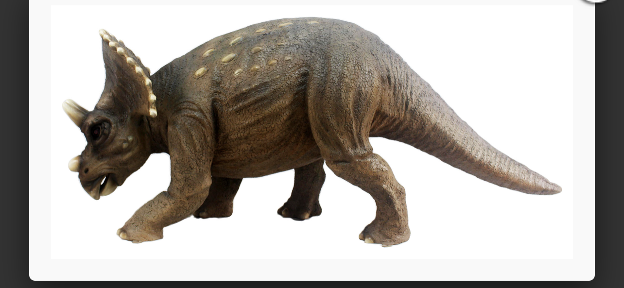 Triceratops Dinosaur