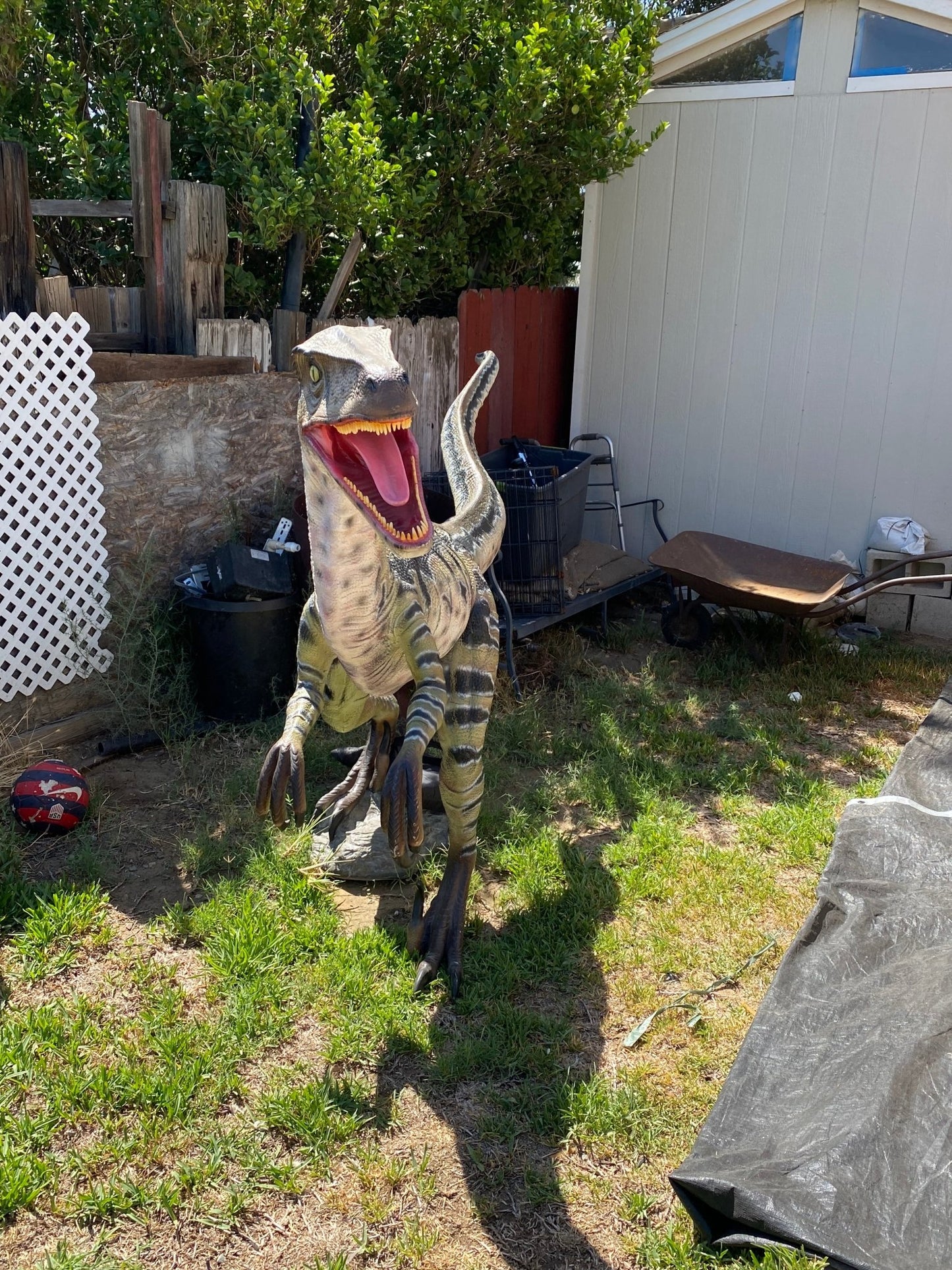 Velociraptor Delta Dinosaur - Custom Prop Rentals
